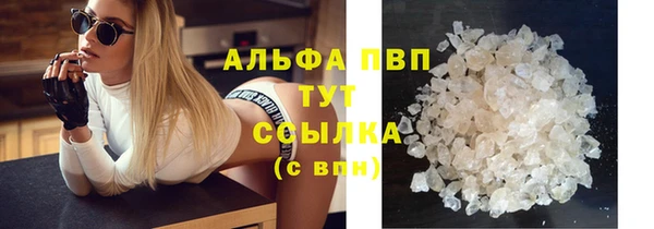 стафф Надым