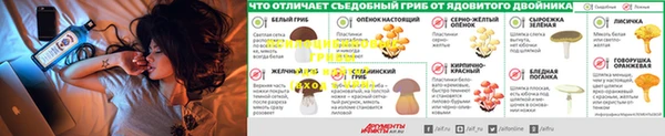 скорость mdpv Нея