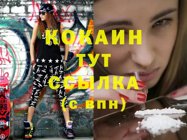 мяу мяу мука Гусь-Хрустальный
