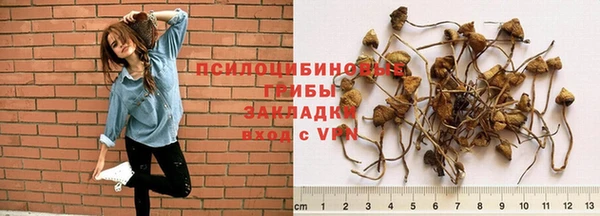 гидра Нефтегорск